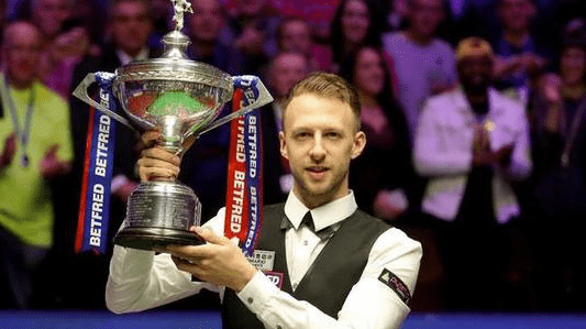 粉丝和关注 粉丝和关注